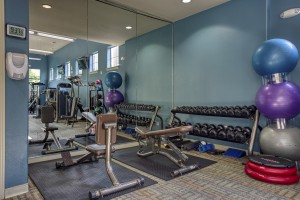 Two Bedroom Apartments for Rent in San Antonio, TX - Fitness Center (2) 